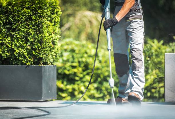 Solar Panel Cleaning in Navasota, TX