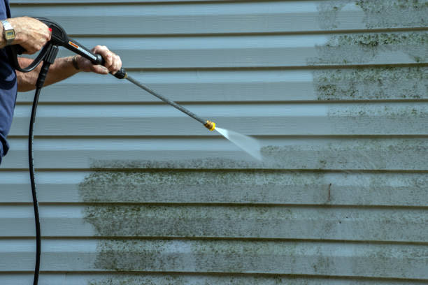Best Driveway Pressure Washing  in Navasota, TX